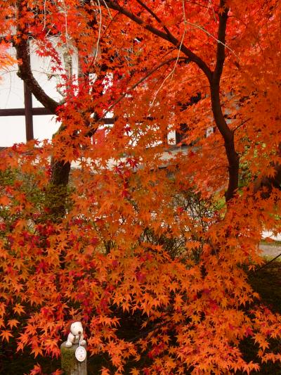 2008紅葉だより◆酬恩庵 一休寺（京都府京田辺市）／後半