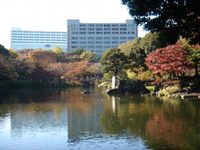 東京紅葉めぐり