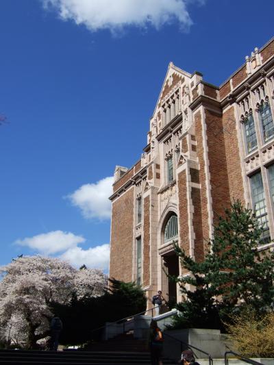 University Washington