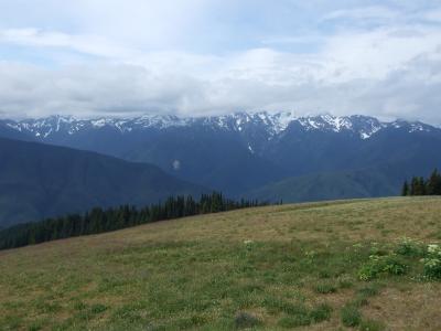 Olympic National Park?