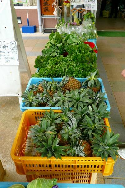 沖縄本島☆オフシーズンでさらに人のいない所？?おみやげ編