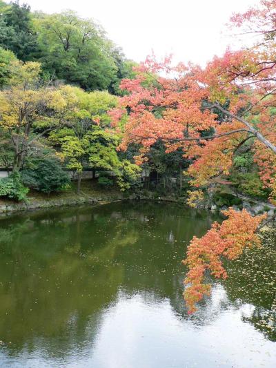 日本の旅　関西を歩く　和歌山城庭園の光景