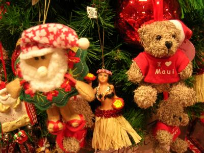 ホノルルマラソン2008じゃ~