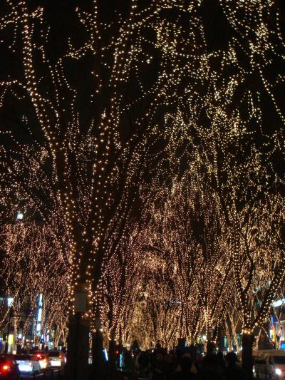 仙台★光のページェント2008