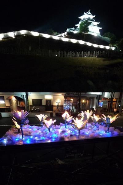 掛川城のライトアップとひかりのオブジェ展