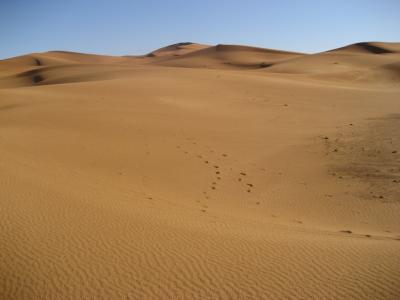 魅惑の国モロッコ　１０日間 その３　アトラスと砂漠ツアー