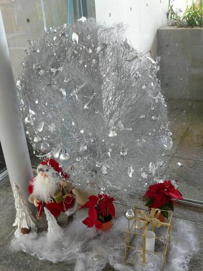 千葉市花の美術館　１２月