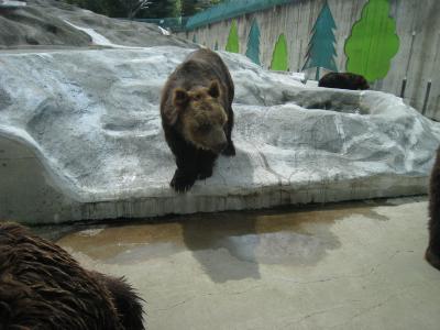 北海道旅行（釧路）