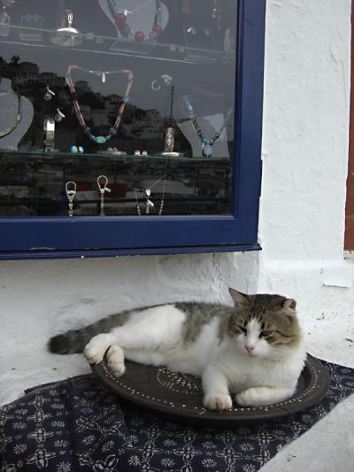 北へ南へ東へ西へ！みっしりギリシャ旅行記【13】エーゲ海1日クルーズ・イドラ島で泳ぐ方法。