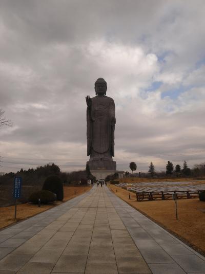 ２００８年　茨城県