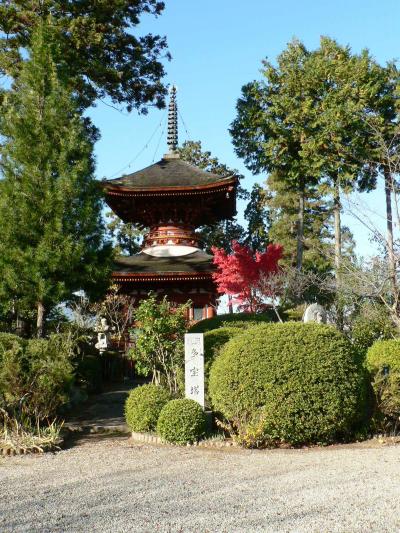 日本の旅　関西を歩く　奈良、橿原神宮に近い久米寺