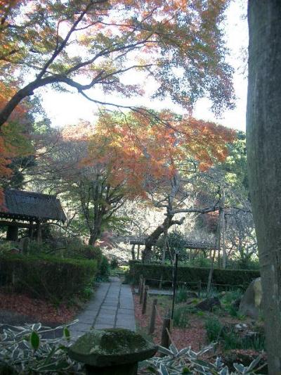 自然と、歴史と、お花のある瑞泉寺