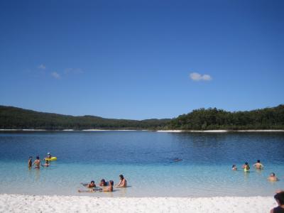 フレーザー島 * 1泊2日サファリツアー