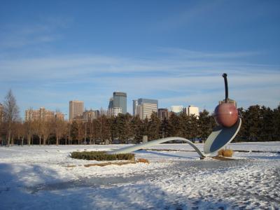 2008-12-28, 29 USA: Minnesota