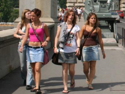 ブタペスト高等研究所：ハンガリー 