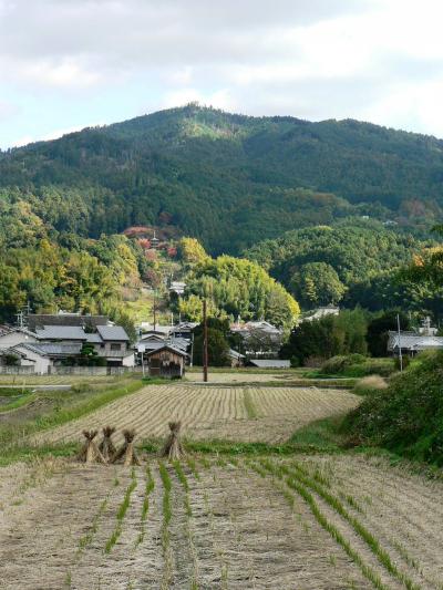 日本の旅　関西を歩く　奈良、飛鳥聖徳太子生誕所に建つ柿本人麻呂の悲恋の歌碑