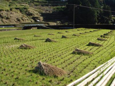 《四国一周08》龍河洞編~徒歩とほほ~