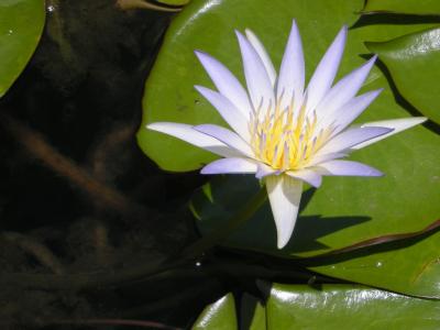 エジプト＆トルコ旅行（６／６）2008/7/12