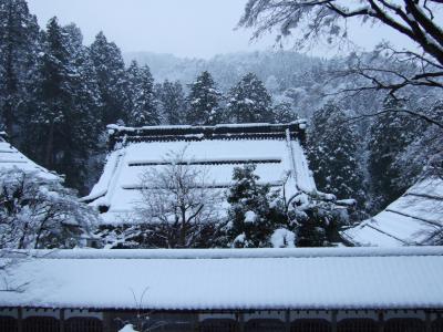 今年も良い年でありますように　初参拝・永平寺