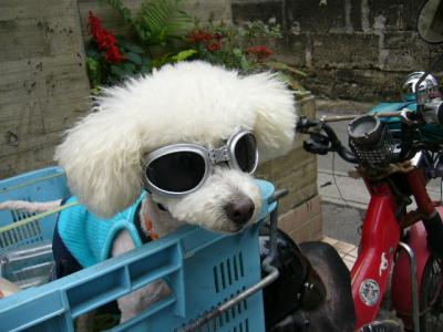 石垣＆西表島●のんびり滞在記●