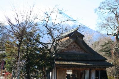 わんことドライブ