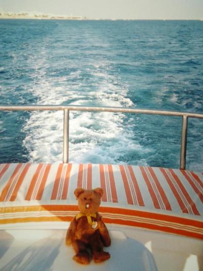 エジプト旅行記?（シャルムエルシェイク）