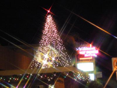 カリストガ ワインと温泉の町 ~08ー09 サンフランシスコ年越し旅 1~