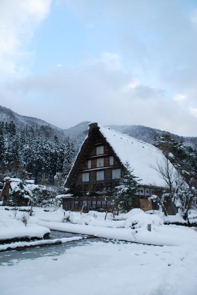 雪に煙る合掌造り、冬の白川郷