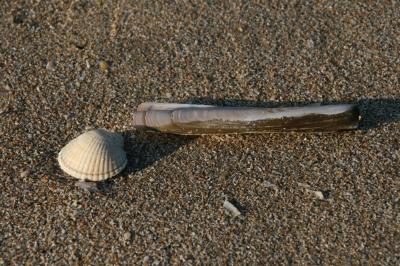 海を求めてノルマンディの海岸へ（前）♪ Trouville, France