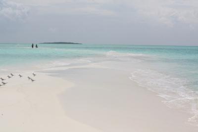 【特選☆ダイジェスト編】☆エアカランビジネスクラス利用・天国に1番近い島♪真っ白な極上ビーチに出会う旅