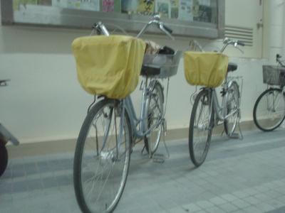 ママチャリ旅行２９　沖縄編(石垣島・本土）　８