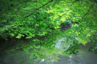 生田緑地で感じた風