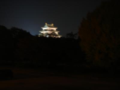 熊野・伊勢旅行番外編~名古屋の夜~