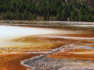 ワイオミング州の国立公園を歩く(16) 色鮮やか、ミッドウェイ・ガイザー・ベイスン Midway Geyser Basin ～2008年夏休み～