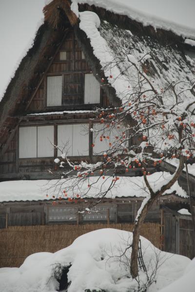 秘境五箇山の美しき和の風景