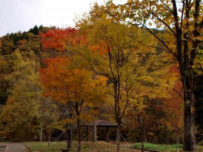 せせらぎ街道と郡上八幡の紅葉