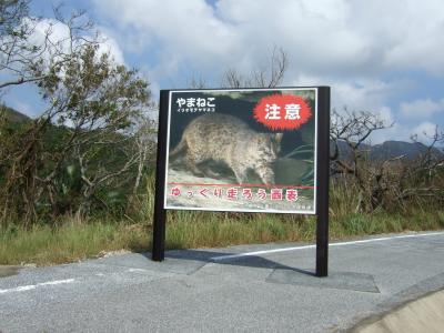 2008年9月西表島