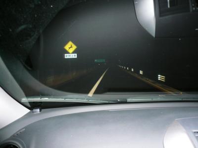 2度目の韓国・済州島編