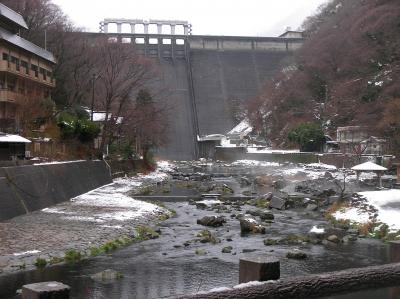 お正月から母と一緒に夜行２泊３日鈍行の旅（一日目）