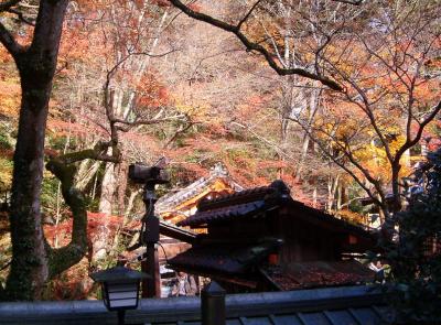 源氏物語千年紀　晩秋の「石山寺」