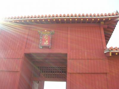 2009年冬 ヨロン&ナハ~沖縄那覇へ~