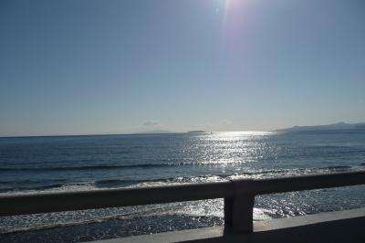 やっぱり伊豆・・1日目