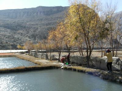 MDSAの拠点・・ネパール、ムスタン（ジョムソン）を訪ねて・・・０６