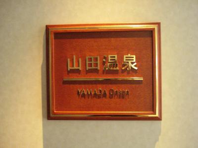 冬休み沖縄２００８☆　山田温泉