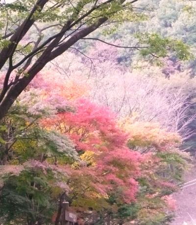 紅葉の旅・・栃木