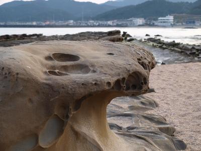 初旅　南九州ツアー　１　新婚旅行のメッカ（４０年前）青島へ