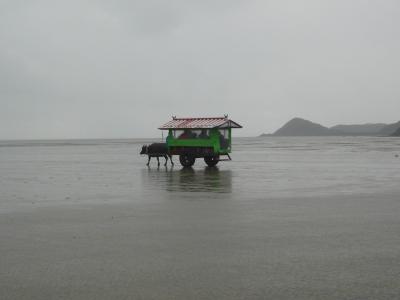 沖縄島旅 お正月 3日目