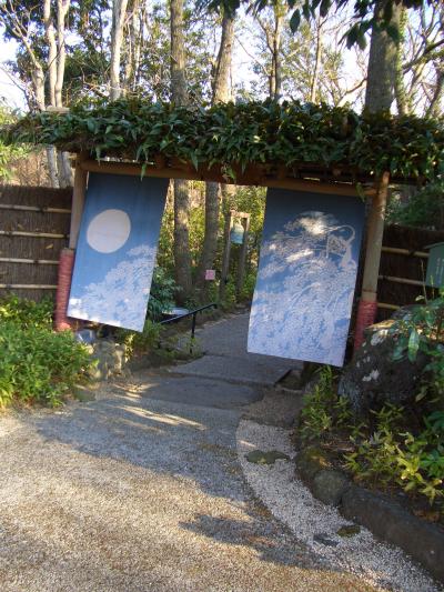 早春の伊豆高原　【憧れの「花吹雪」に泊まる】