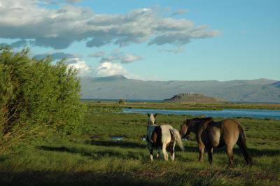 絶景を求めてアルゼンチン縦断その０２～パタゴニア／エル・カラファテ