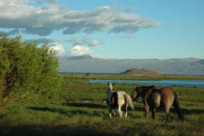 絶景を求めてアルゼンチン縦断その０２～パタゴニア／エル・カラファテ